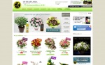 Interflora